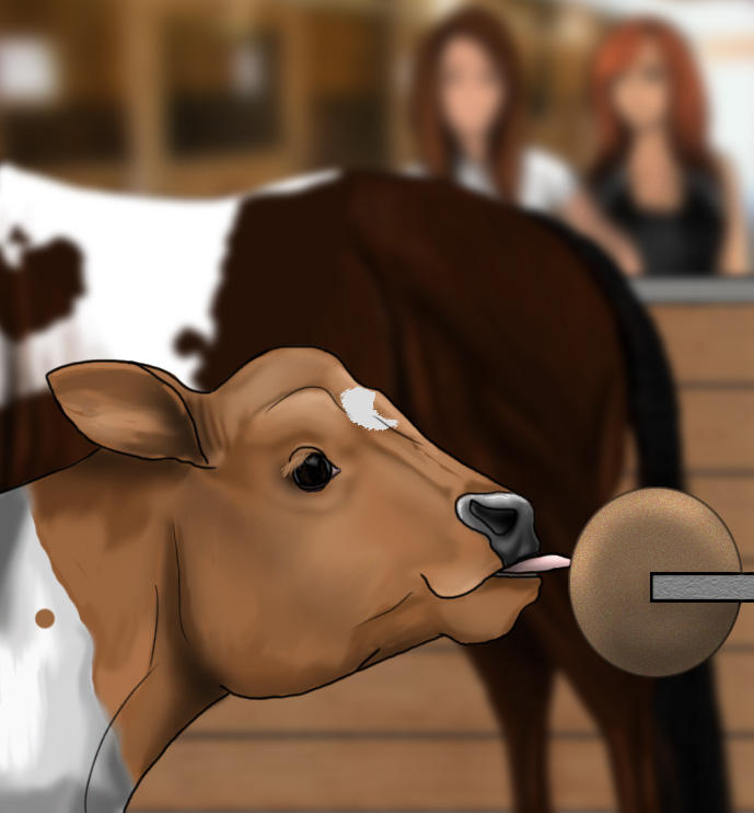 Deviantart Animal Jumping Stall Jumping by Decorum100 on DeviantArt