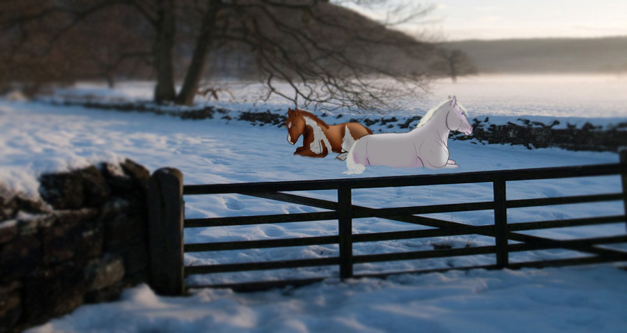 Morning Rest - Collab with ElmRiverStables