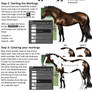 Horse Marking Tutorial