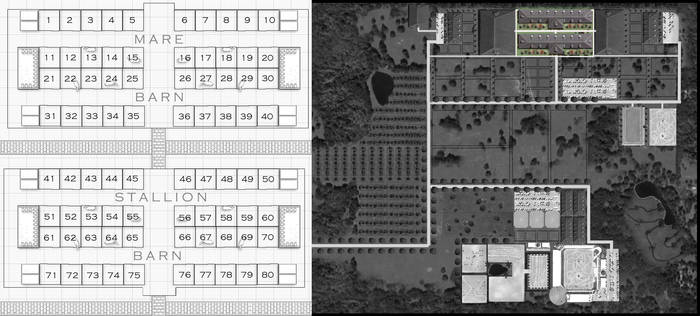 Stall layout: Main barns Ocala