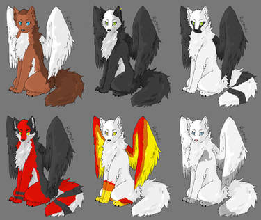 Wolf angel adopts 1