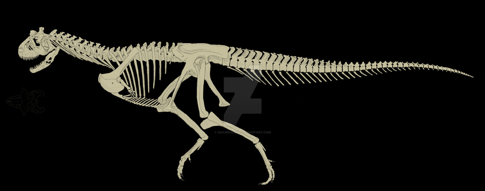 Carnotaurus Skeleton Side View by Shawkins859 on DeviantArt