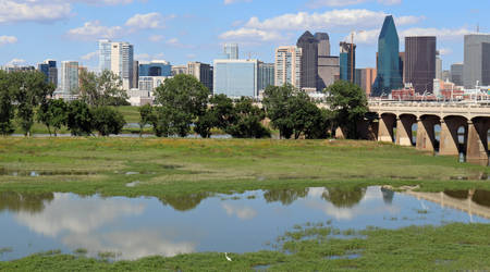 Dallas Reflection