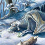 Snow