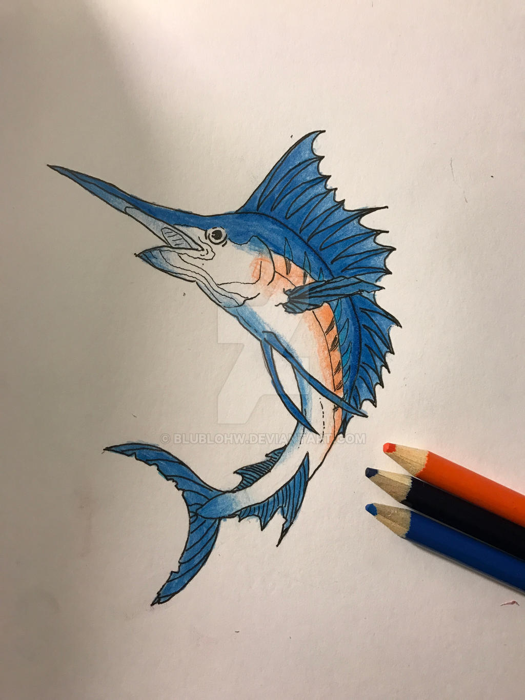 20 Creative Blue marlin sketch drawing character for App