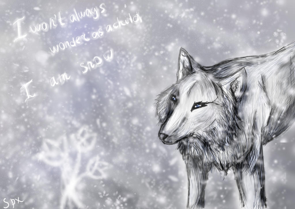 The wolf by SpacePhoenix on DeviantArt