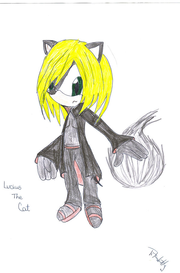 Lucius The Cat