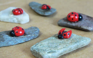 A Souvenirs: Ladybug