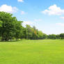 Green Forests of the Equestrian Republic