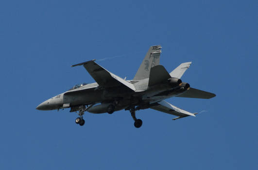 F-18 flyby II