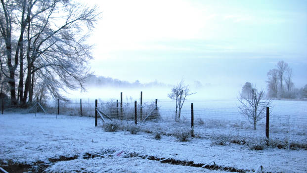 Snow-scape