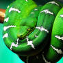 Coiled Emerald