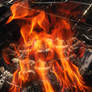 The Beast Within the Flames