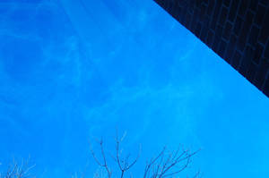 Over the sky, Under the Sea