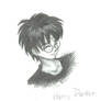 -Harry-Potter-erm-thingie-