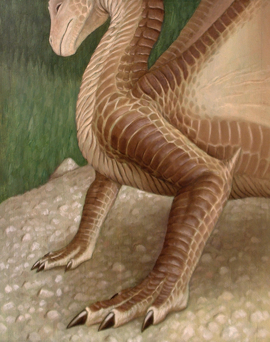 Dragonatomy 12