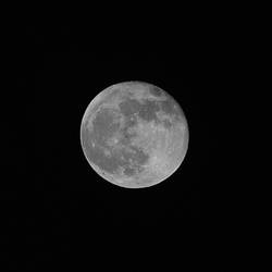 Blue Moon +1 day B+W.