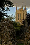 St Edmundsbury Cathedral. by quaddie