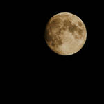 Blood Moon. by quaddie