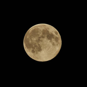 Perigee Moon.