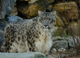 One Rock amongst many.