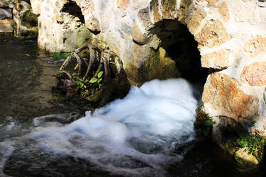 Waterwheel