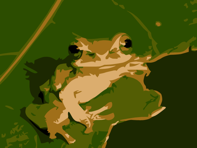 Frog