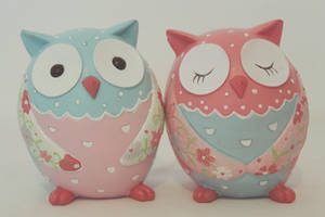 Owl Friends