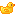 Rubber Duck (Right)