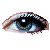 Pixel Eye