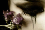 paradise of sorrow by caperuccita