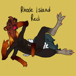 #019 - Rhode Island Red