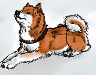 Dog speedpaint