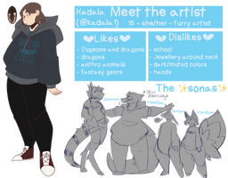 Meet the artist