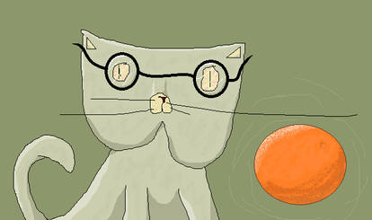 The Cat with a High IQ and an Orange