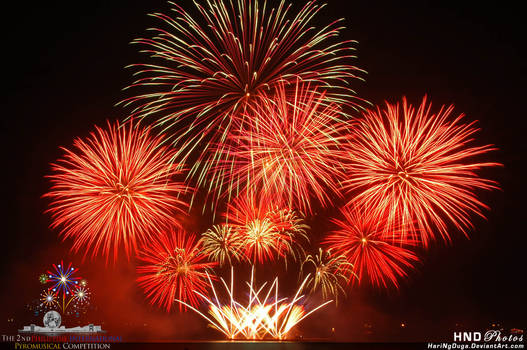 Platinum Fireworks 2011 - 01