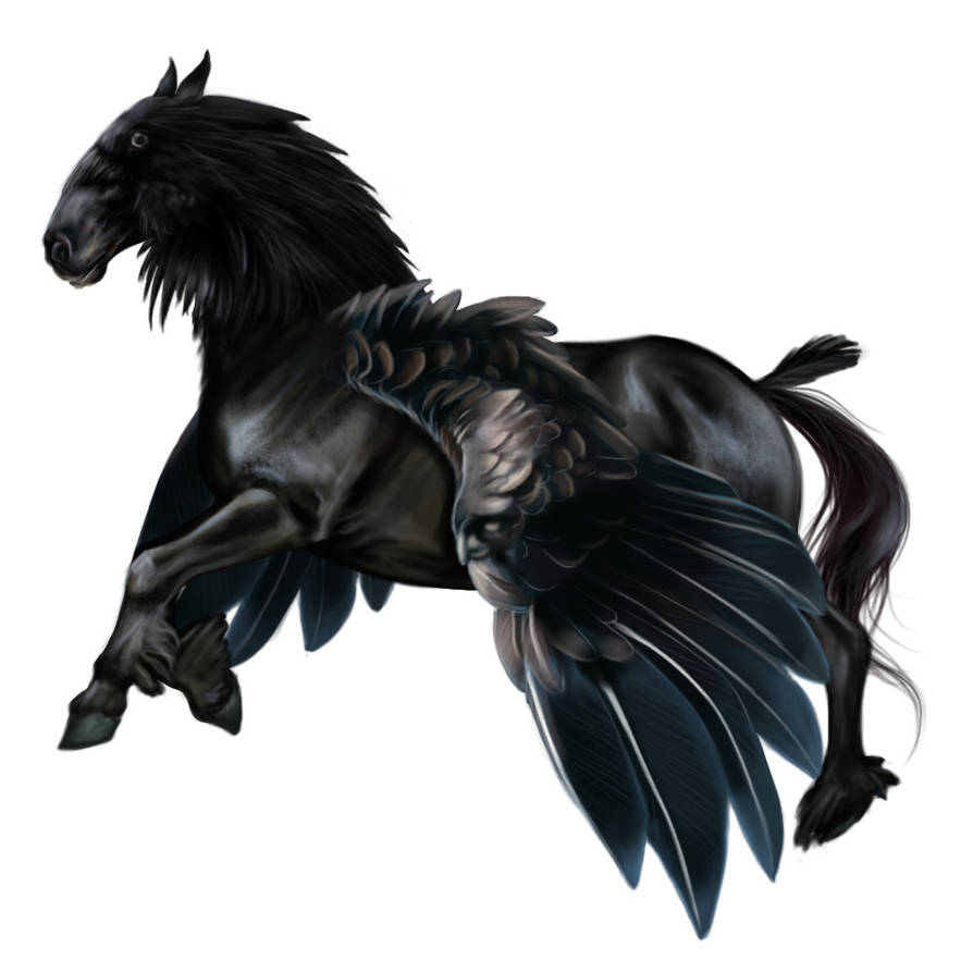 raven horse by baldurrka on DeviantArt