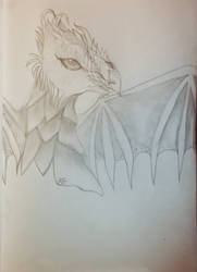 Pencil Art of a Dragon