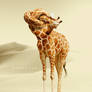Giraffe Neck Knot Photoshop Tutorial