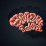 Brain Text Effect tutorial
