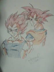 Super Saiyan God Vegeta and Goku