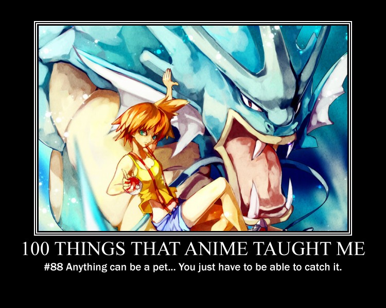 What anime taught us