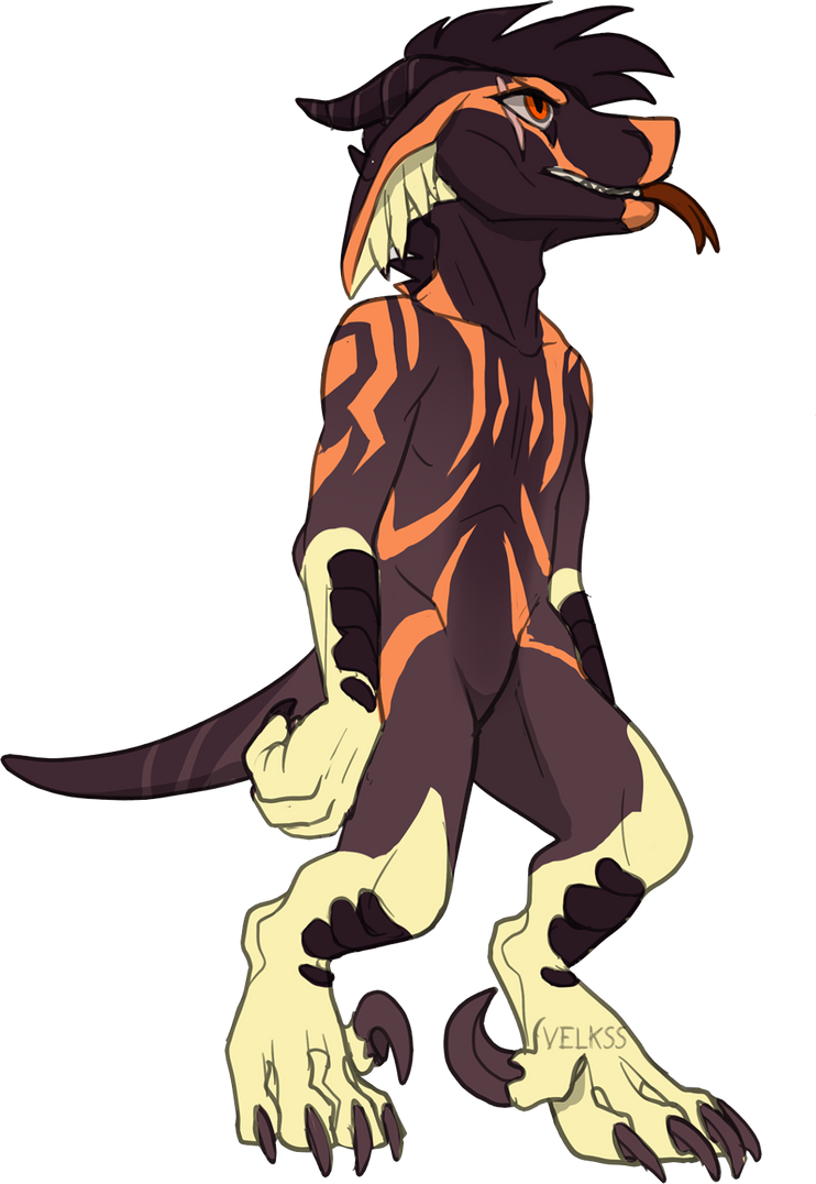 MA-0066 owned by Zerhys