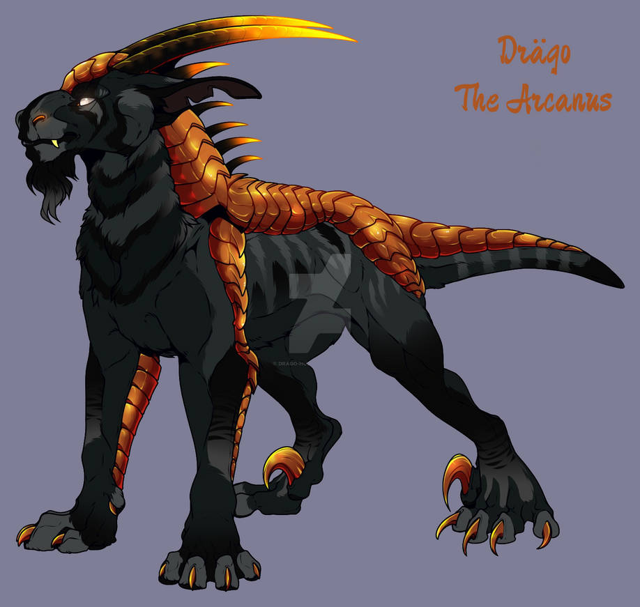 MA-0289 owned by Drago-Husky