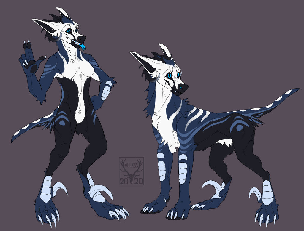 MA-0584 owned by Shensei1