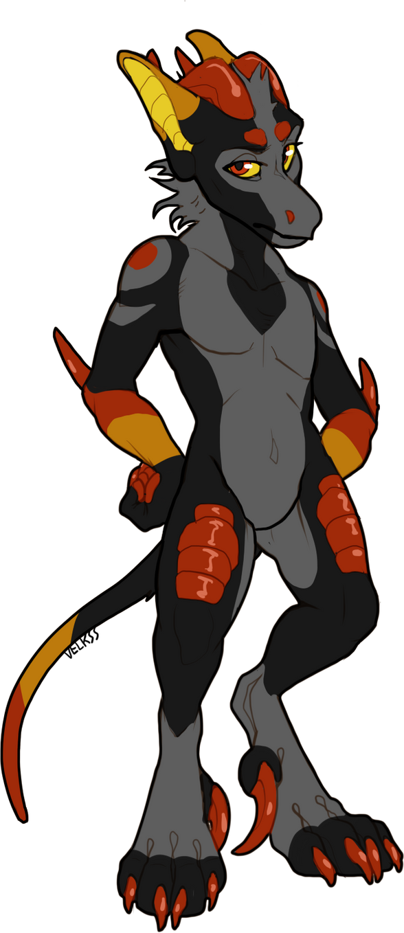 MA-0619 owned by StrajaTheDog