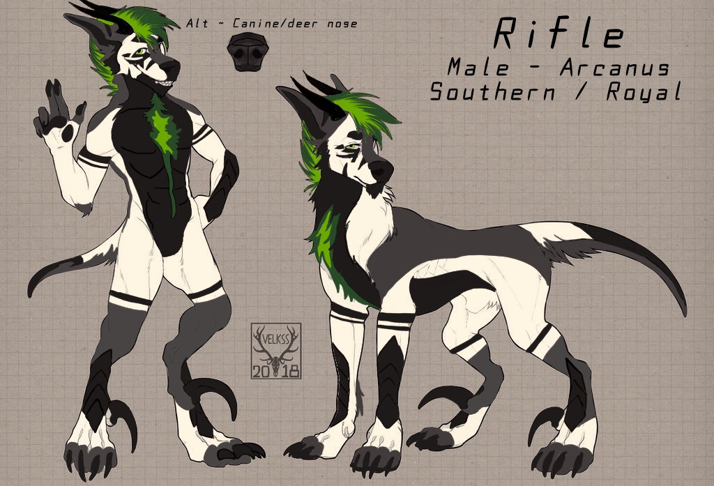 MA-0691 owned by ChlorineWolf