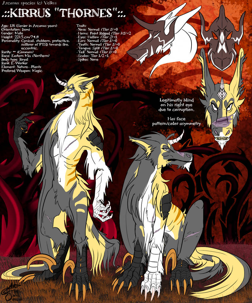 MA-0696 owned by The-Onyx-Obelisk