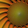 MVJ-Sunflower Fractal