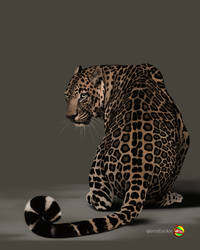 Leopard #2